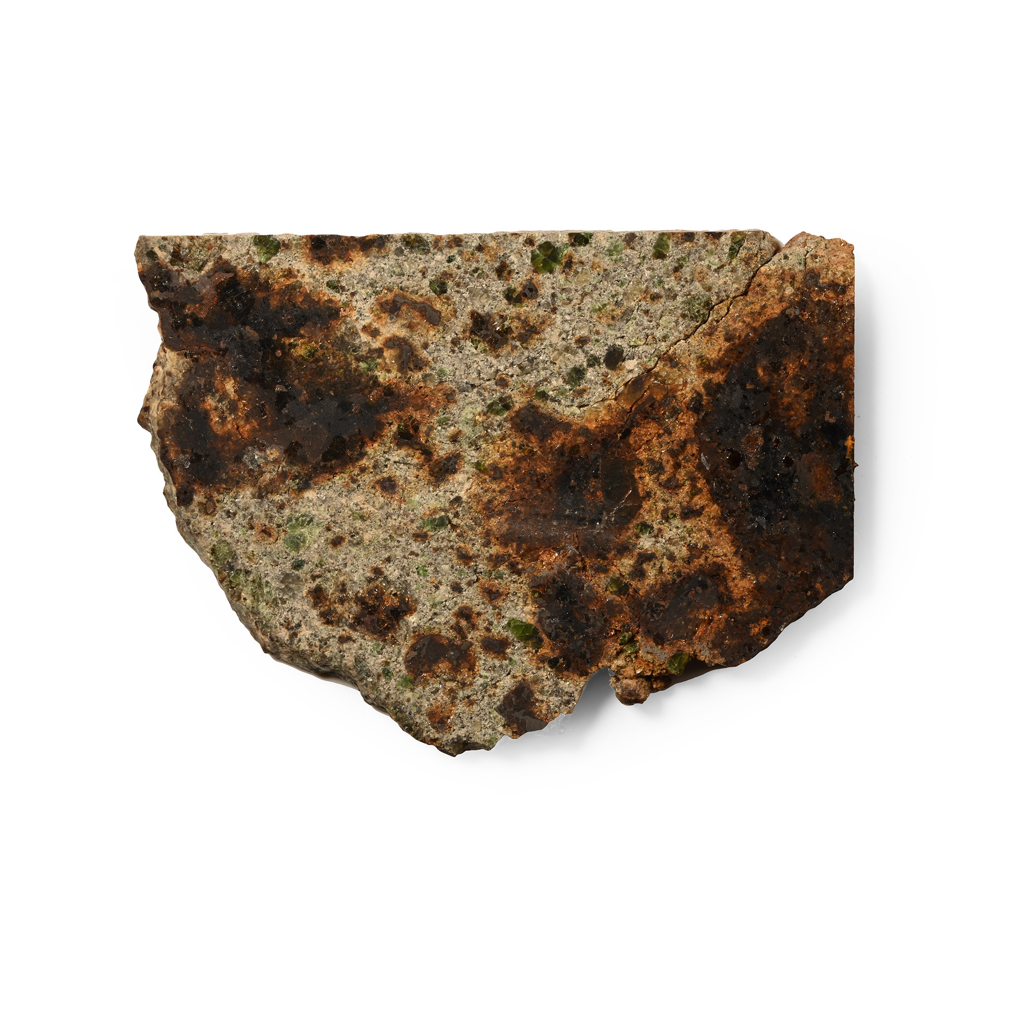 Natural History - Lodranite NWA 8118 Meteorite Slice